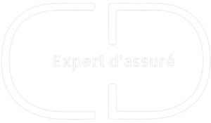 Logo CD Expertise V1 (1).Ai - 1 - Modifié