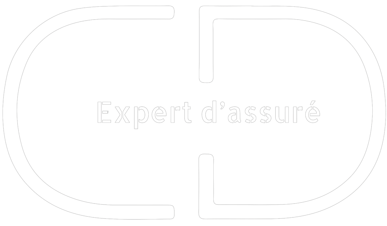 Logo CD Expertise V1 (1).Ai - 1 - Modifié