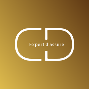 Logo CD Expertise V1 (1).ai